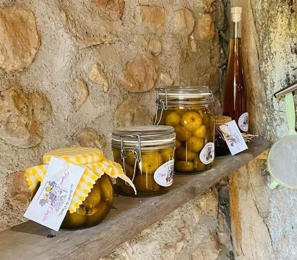 La Bastide Du Capelier - Chambres D'Hotes Avec Baignoire Balneotherapie - 3 Etoiles Salernes Bagian luar foto